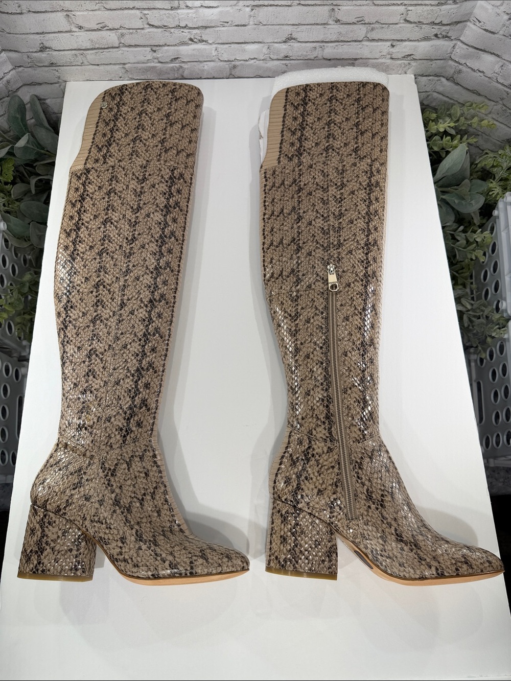 LOUISE ET CIE “Vayna” Beige Over-the-Knee Leather Python Print Boots WMS 5M EUC